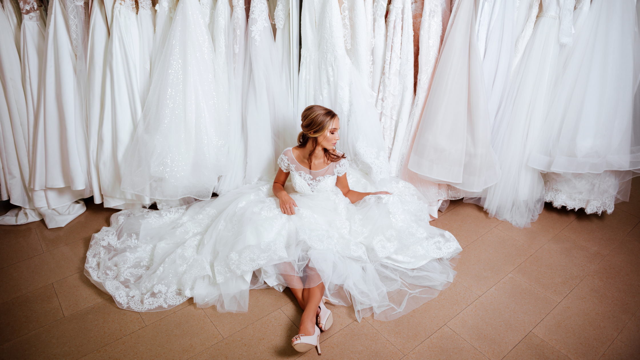 Blue And Red Voters Education Banner